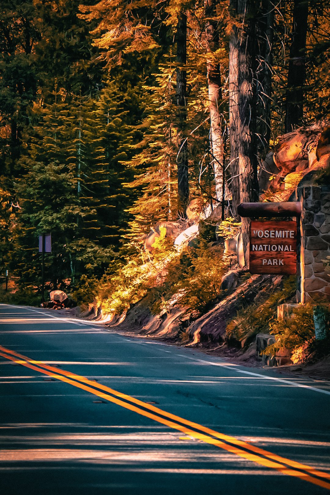 Photo by Harris Campbell